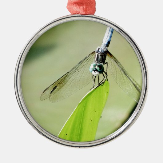 Blauwe Dragonfly op een groen blad Metalen Ornament (Voorkant)