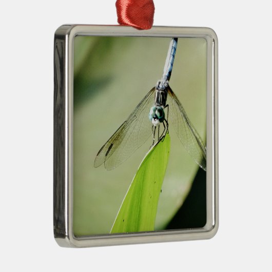 Blauwe Dragonfly op een groen blad Metalen Ornament (Rechts)