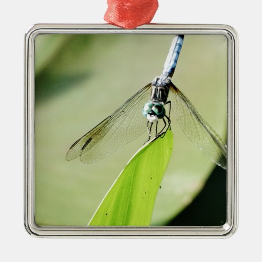 Blauwe Dragonfly op een groen blad Metalen Ornament (Voorkant)