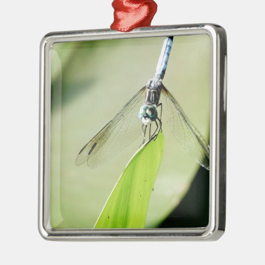 Blauwe Dragonfly op een groen blad Metalen Ornament (Links)
