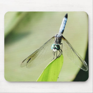 Blauwe Dragonfly op een groen blad Muismat