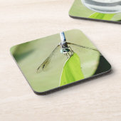 Blauwe Dragonfly op een groen blad Onderzetter (Linkerzijde)