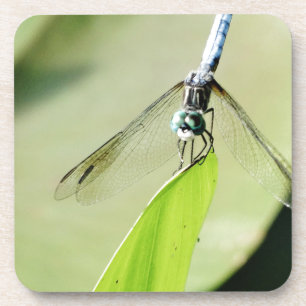 Blauwe Dragonfly op een groen blad Onderzetter