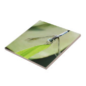 Blauwe Dragonfly op een groen blad Tegeltje (Zijkant)