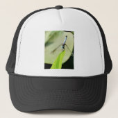 Blauwe Dragonfly op een groen blad Trucker Pet (Voorkant)