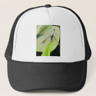 Blauwe Dragonfly op een groen blad Trucker Pet