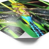 Blauwe dragonvliesschilderingen foto afdruk (Hoek)