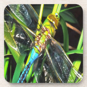 Blauwe dragonvliesschilderingen onderzetter (Voorkant)