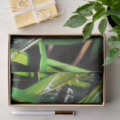 Blauwe dragonvliesschilderingen tissuepapier (Geschenk)