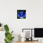 Blauwe driekleurig viooltje poster (Thuiskantoor)