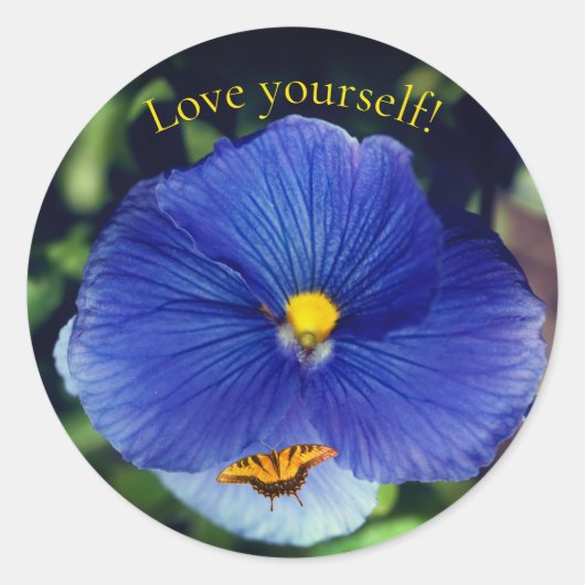 Blauwe driekleurig viooltje ronde sticker (Voorkant)