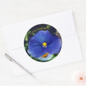 Blauwe driekleurig viooltje ronde sticker (Envelop)