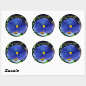 Blauwe driekleurig viooltje ronde sticker (Vel)