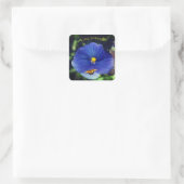 Blauwe driekleurig viooltje vierkante sticker (Tas)