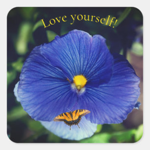 Blauwe driekleurig viooltje vierkante sticker
