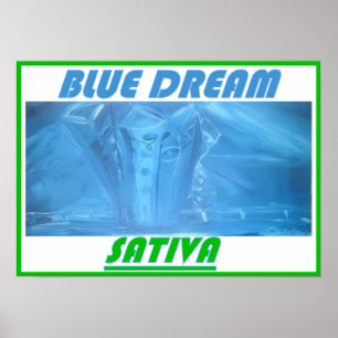 BLAUWE DROOM SATIVA POSTER