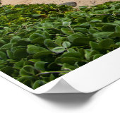 Blauwe droom van Sky Poster (Hoek)