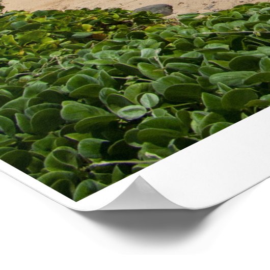 Blauwe droom van Sky Poster (Hoek)