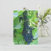 Blauwe Druiven Kaart (Staand voorkant)