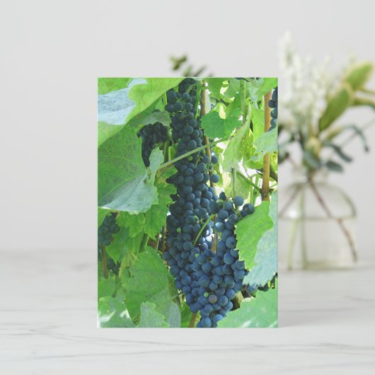 Blauwe Druiven Kaart (Staand voorkant)