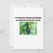 Blauwe Druiven Kaart (Achterkant)