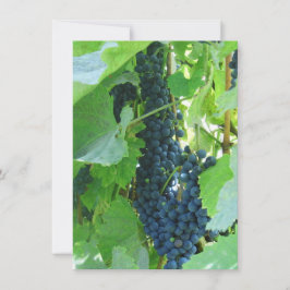 Blauwe Druiven Kaart