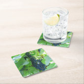 Blauwe druiven kartonnen onderzetters (Insitu)