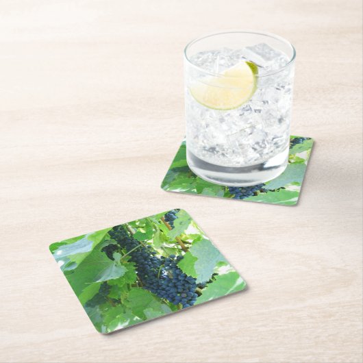 Blauwe druiven kartonnen onderzetters (Insitu)