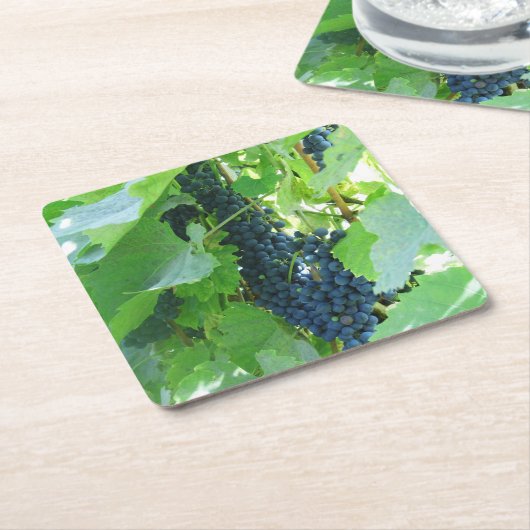 Blauwe druiven kartonnen onderzetters (Schuin)