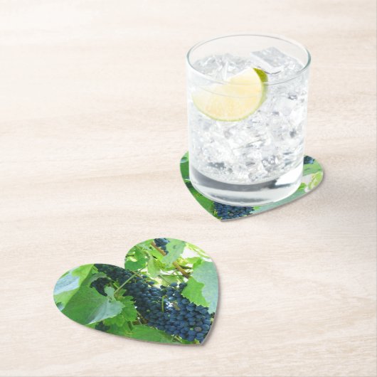 Blauwe druiven kartonnen onderzetters (Insitu)