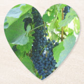 Blauwe druiven kartonnen onderzetters (Voorkant)