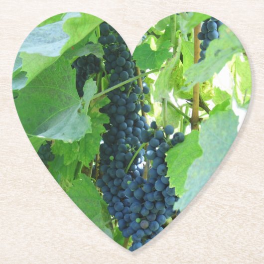 Blauwe druiven kartonnen onderzetters (Voorkant)