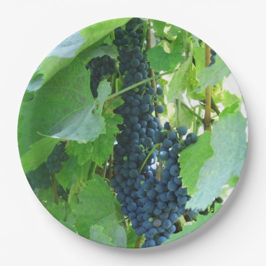 Blauwe Druiven Papieren Borden Bordje (Voorkant)