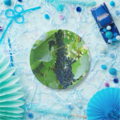 Blauwe druiven papieren bordje (Feest)