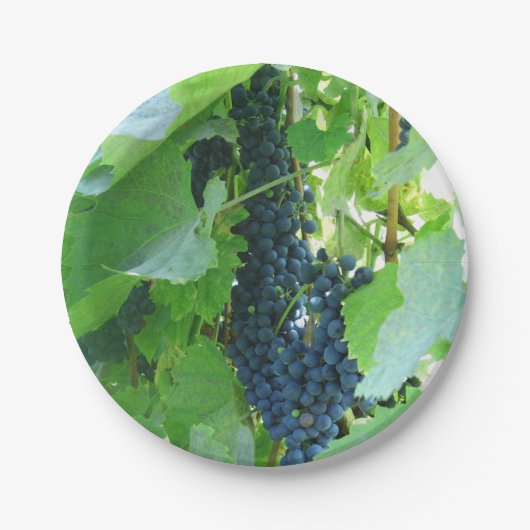 Blauwe druiven papieren bordje (Voorkant)