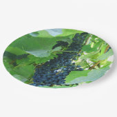 Blauwe Druiven Papieren Bordje (Gekanteld)