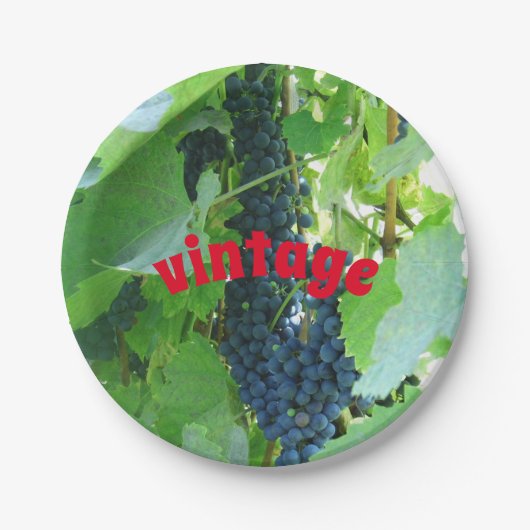 Blauwe druiven uit een goede wijnjaar papieren bordje (Voorkant)