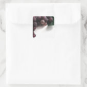 Blauwe druiven vierkante sticker (Tas)