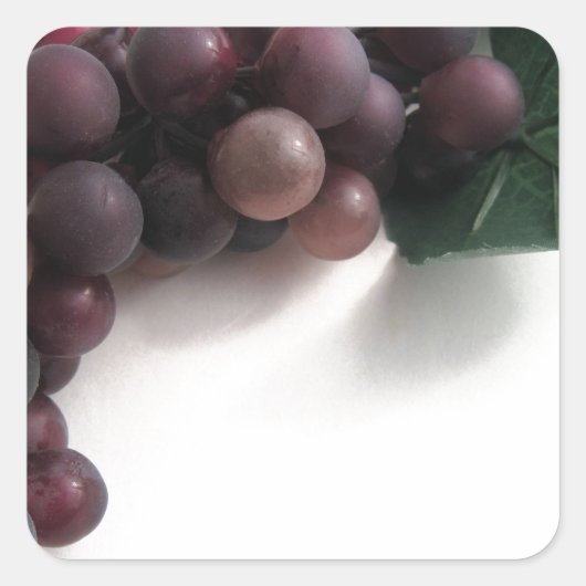 Blauwe druiven vierkante sticker (Voorkant)