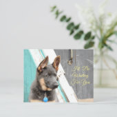 Blauwe Duitse herder wacht op u Briefkaart (Staand voorkant)