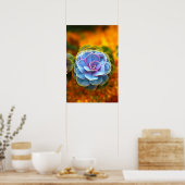 Blauwe Echeveria Poster (Keuken)