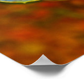 Blauwe Echeveria Poster (Hoek)