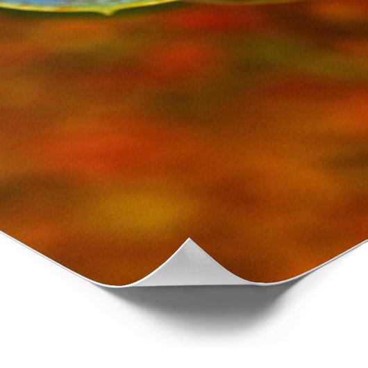 Blauwe Echeveria Poster (Hoek)