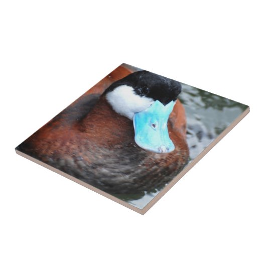 Blauwe eend tegeltje (Zijkant)