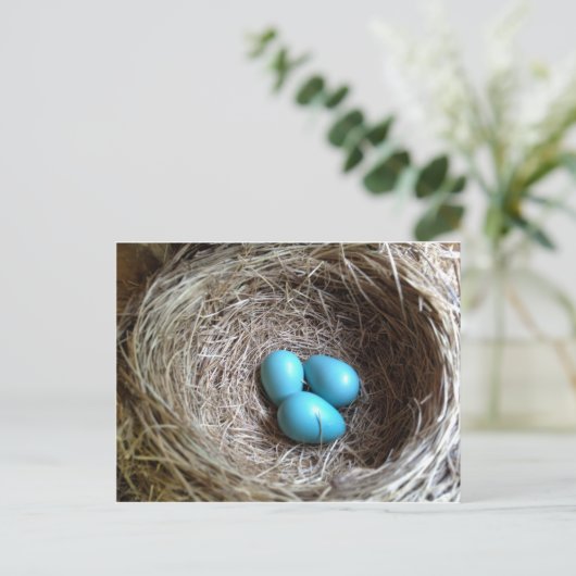 Blauwe eieren briefkaart (Staand voorkant)