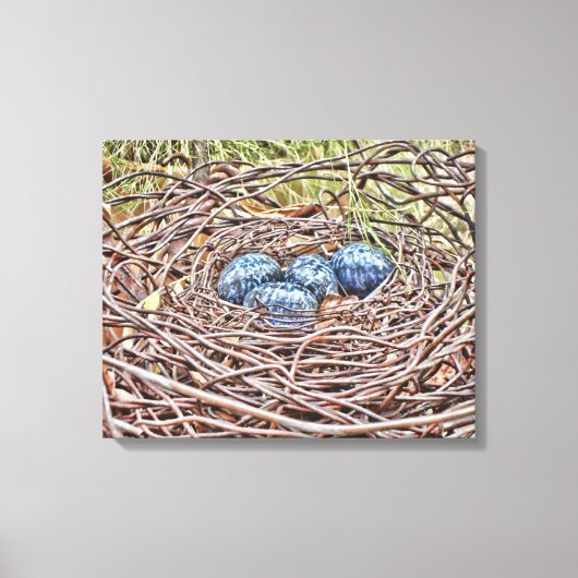 Blauwe eieren in nestbekapte doek canvas afdruk (Voorkant)
