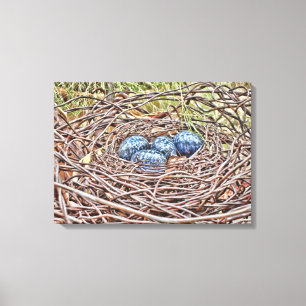 Blauwe eieren in nestbekapte doek canvas afdruk