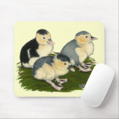 Blauwe Ekster Eendjes Muismat (Met muis)
