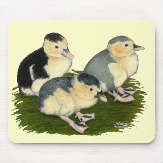 Blauwe Ekster Eendjes Muismat (Voorkant)