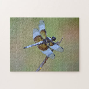 Blauwe en Bruine Dragonfly Insect Natuur Puzzel